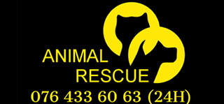 animal rescue logo