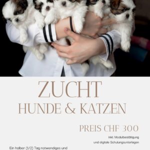 Modul: Zucht
