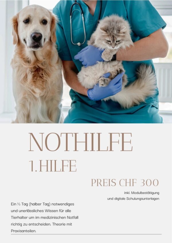 Modul: Nothilfe
