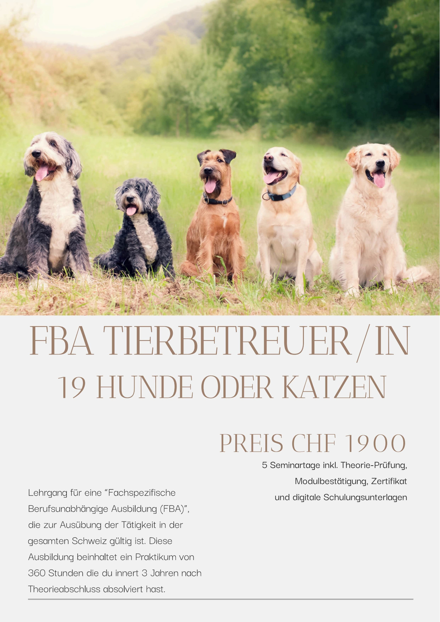 FBA Tierbetreuung
