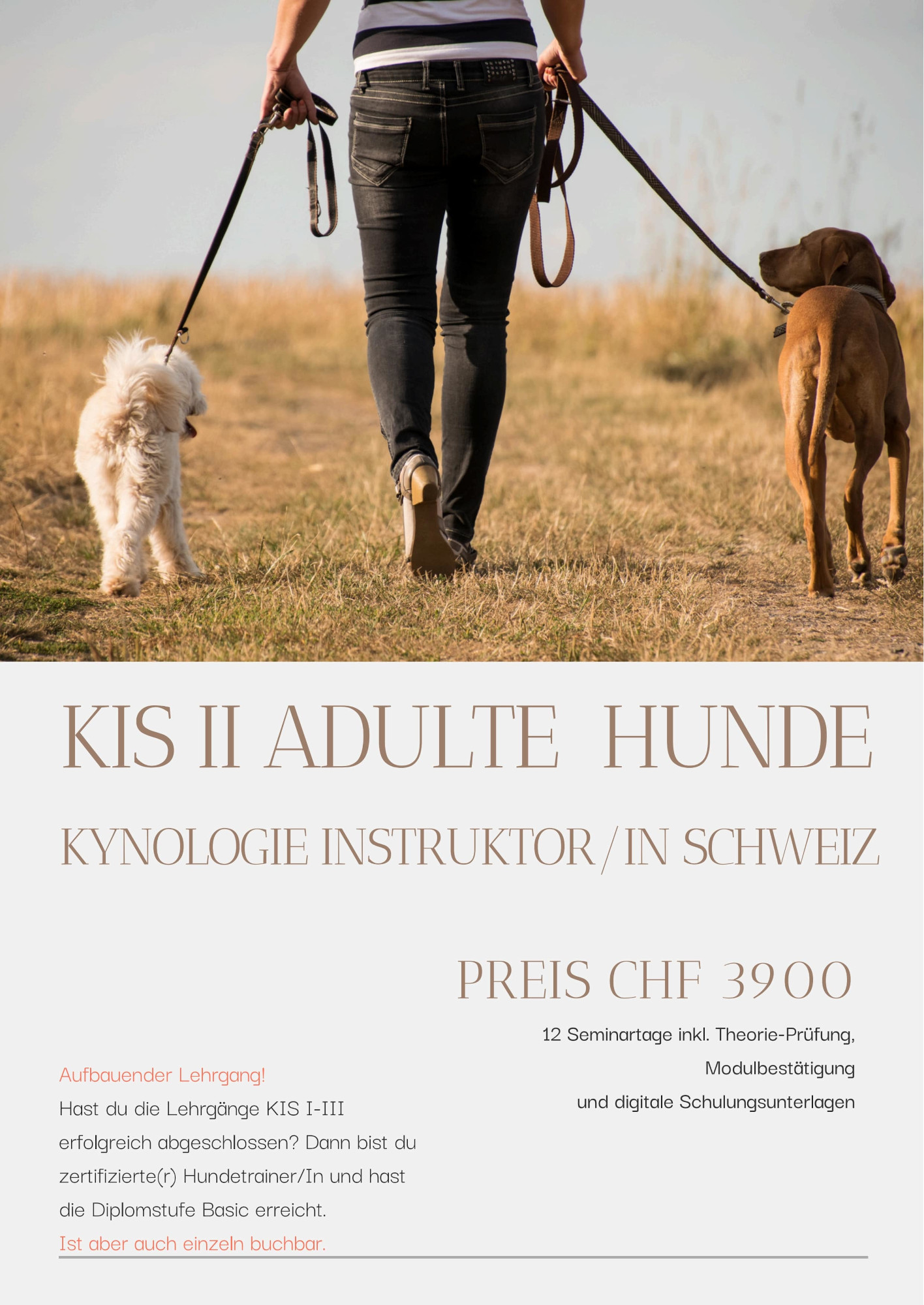 KIS II adulte Hunde