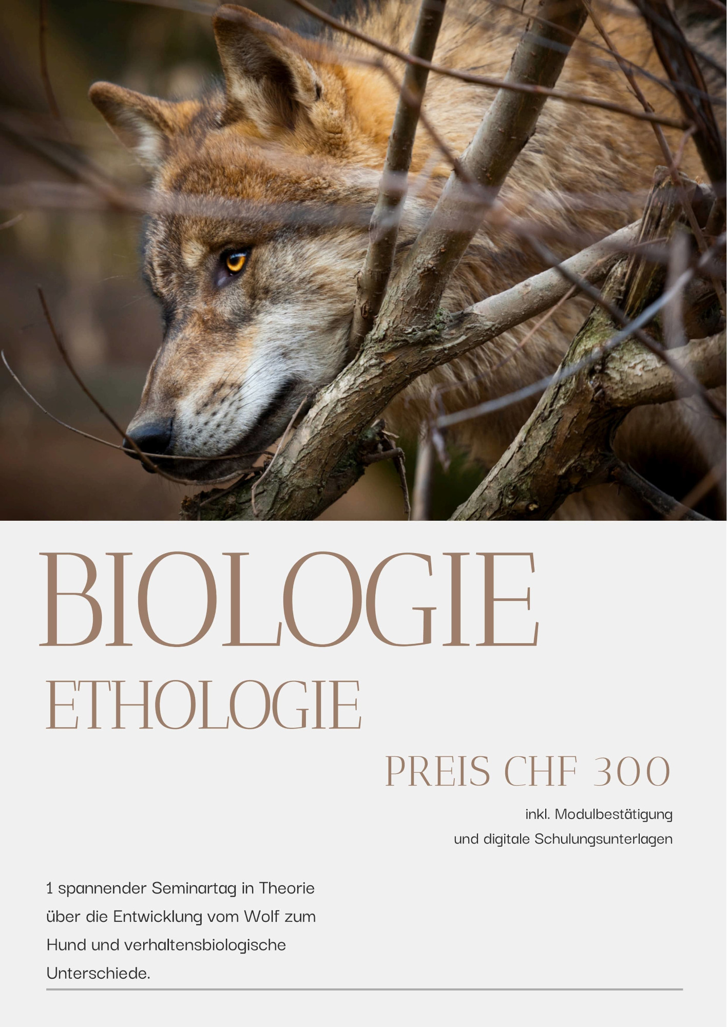 Modul: Biologie