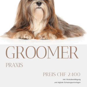 Modul: Groomer Praxis