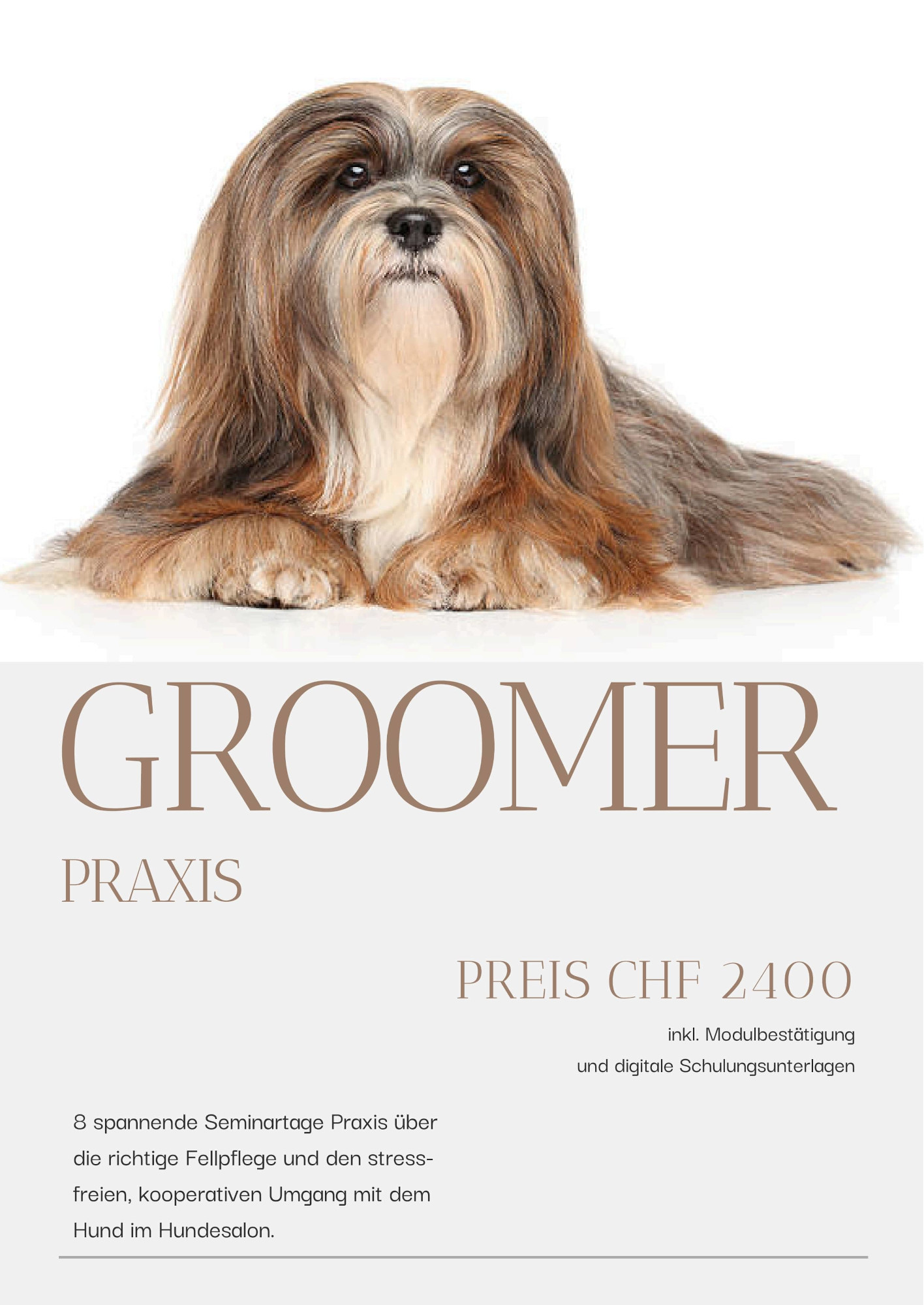 Modul: Groomer Praxis