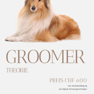 Modul: Groomer Theorie