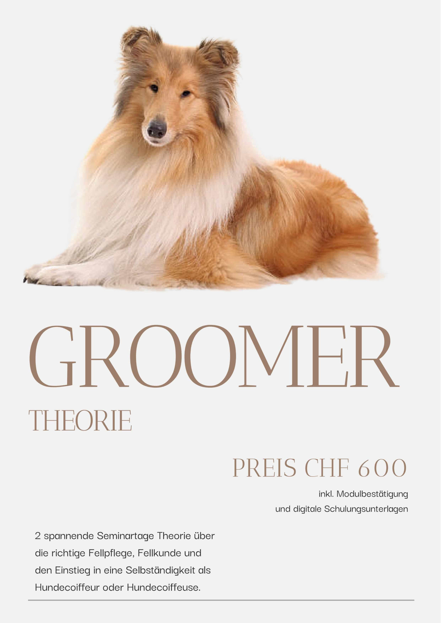 Modul: Groomer Theorie