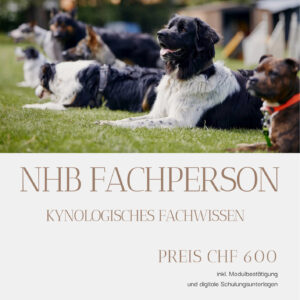 Modul: NHB Fachperson