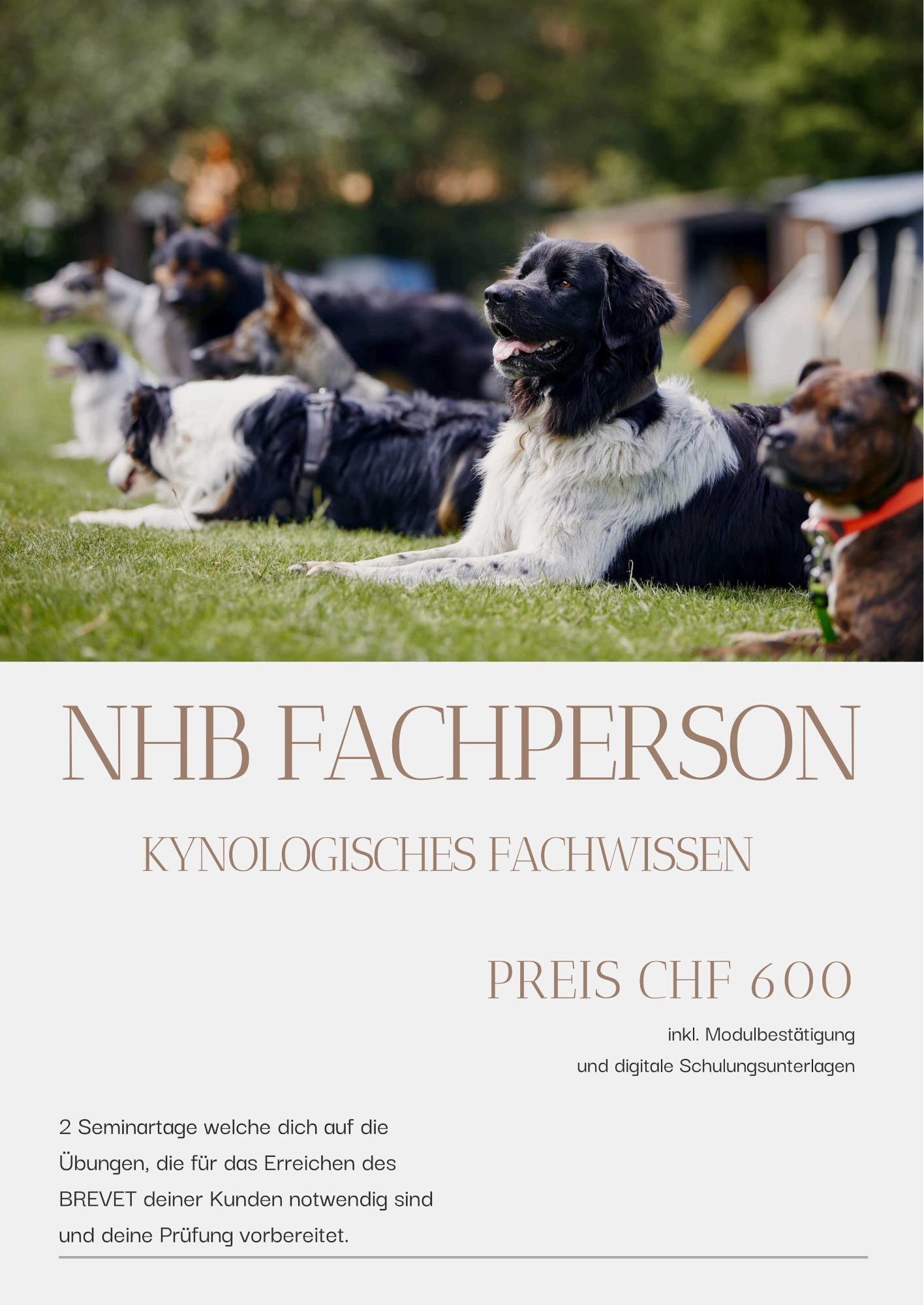 Modul: NHB Fachperson