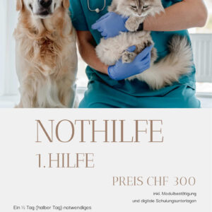 Modul: Nothilfe