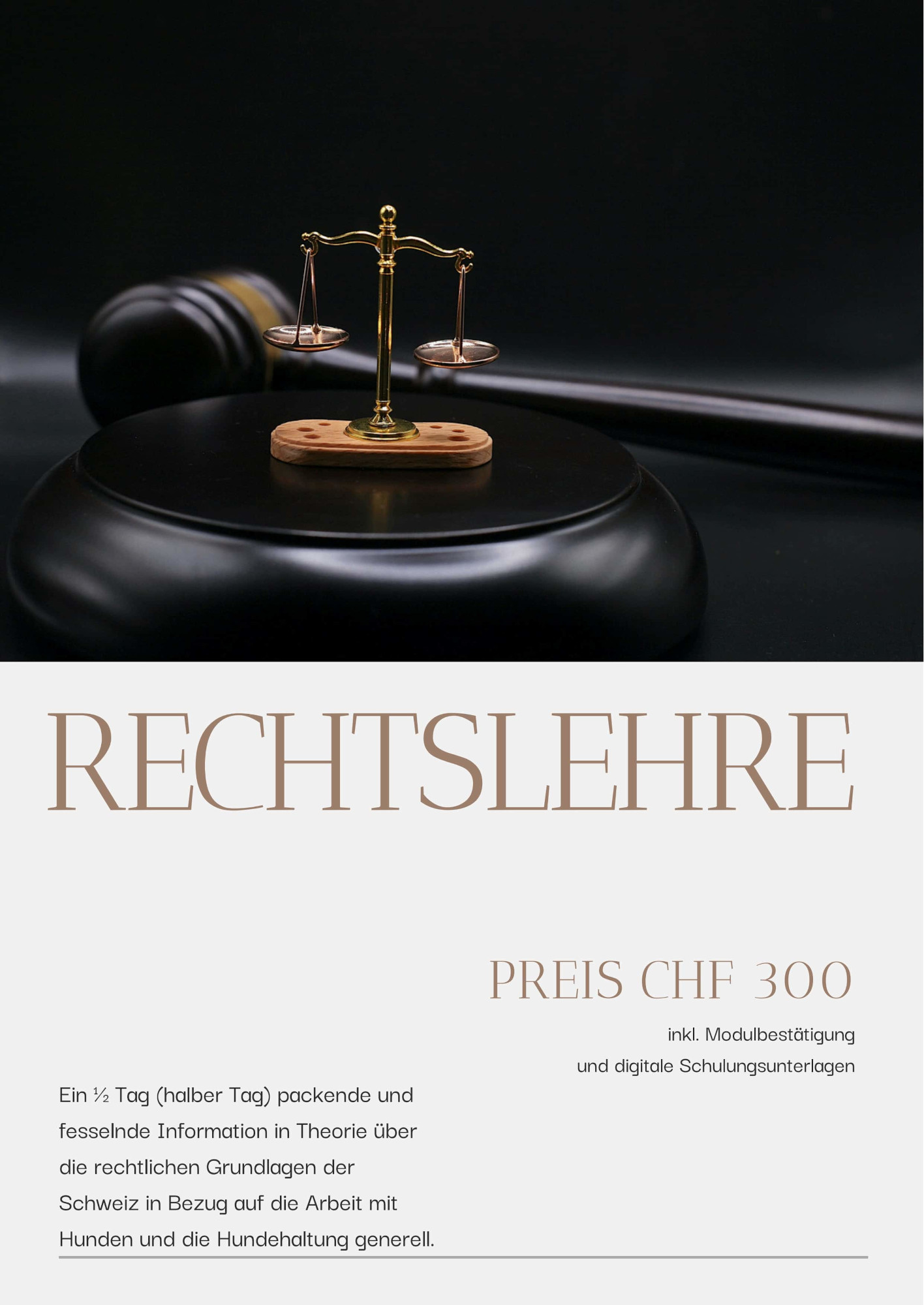 Modul: Rechtslehre