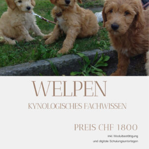 Modul: Kynologie Welpen