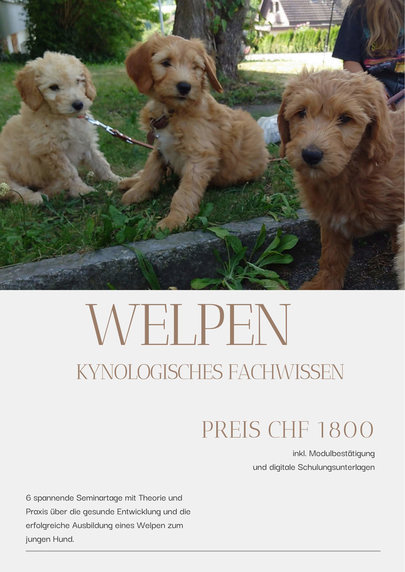 Modul: Kynologie Welpen
