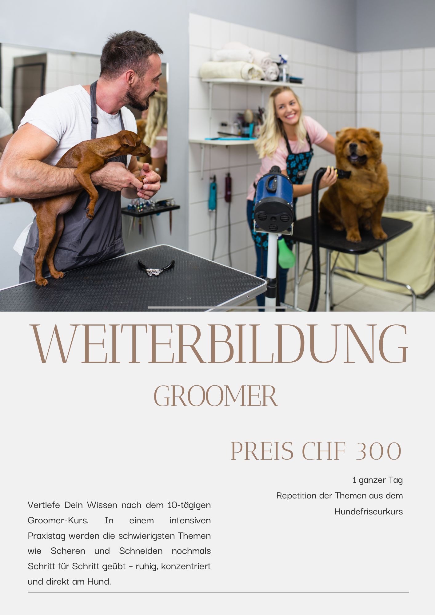 Weiterbildungstage für Hundefrisseure und Interessierte